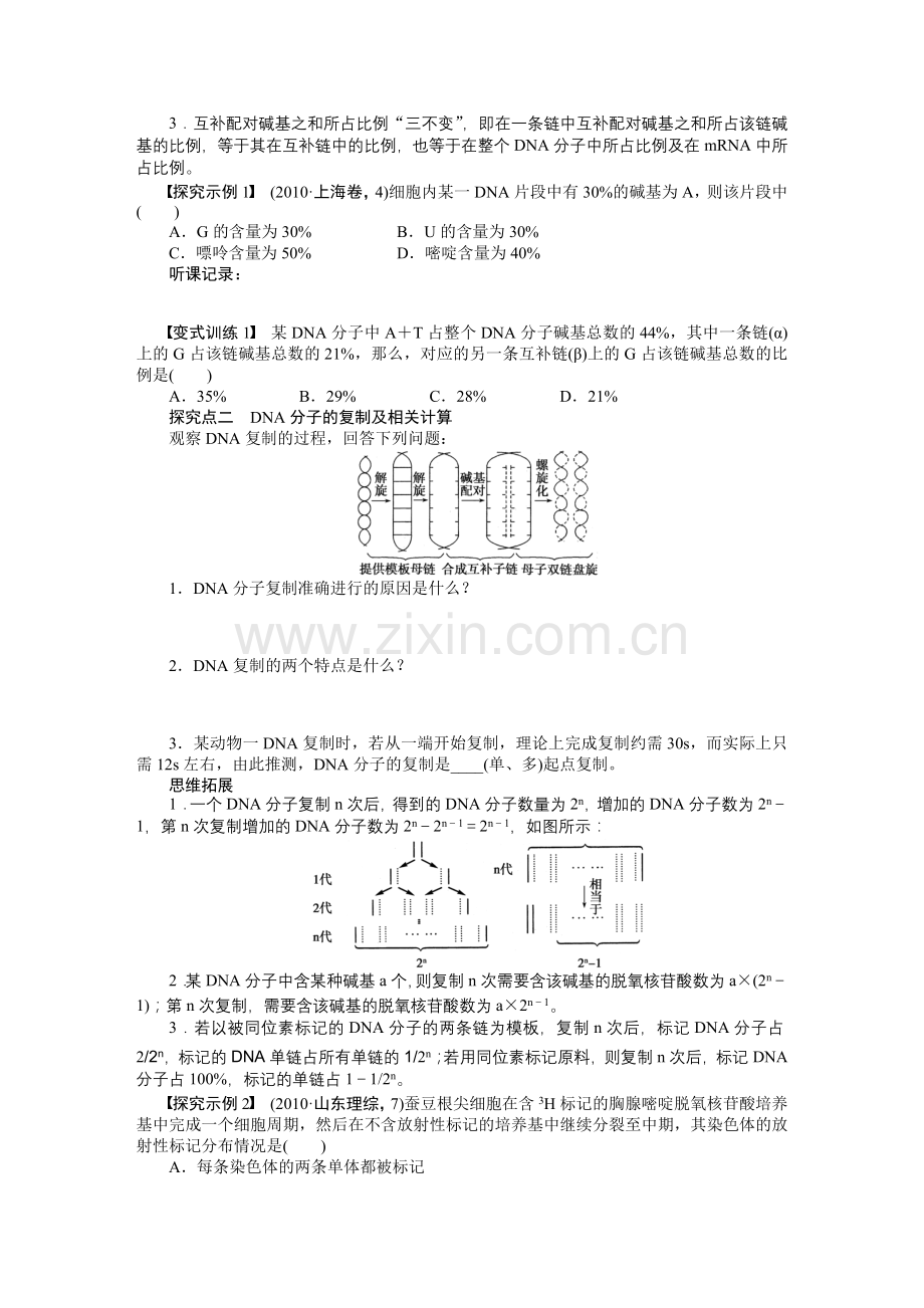 DNA分子的结构.docx_第3页