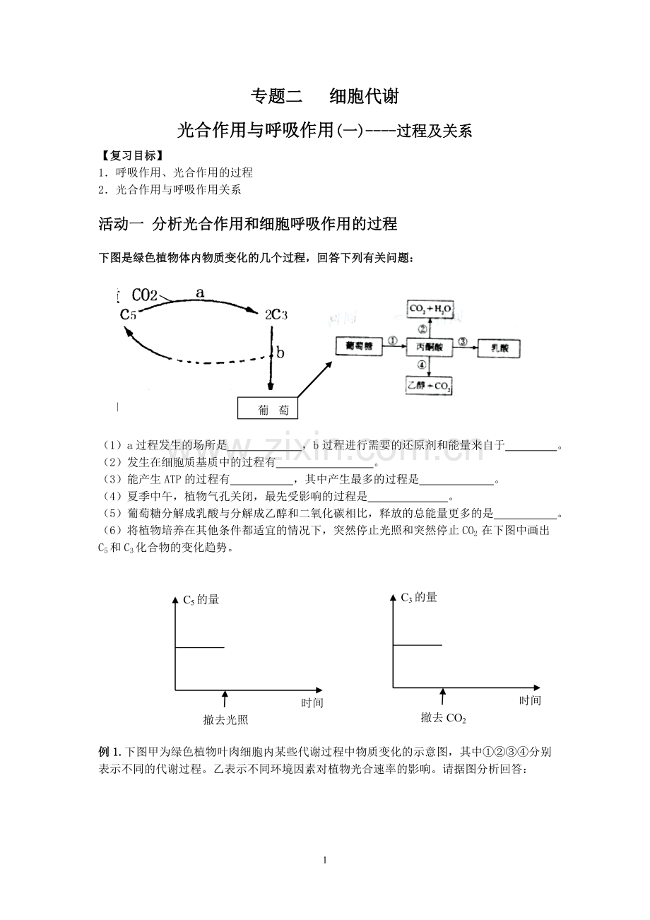 光合作用和呼吸作用的过程及关系.doc_第1页