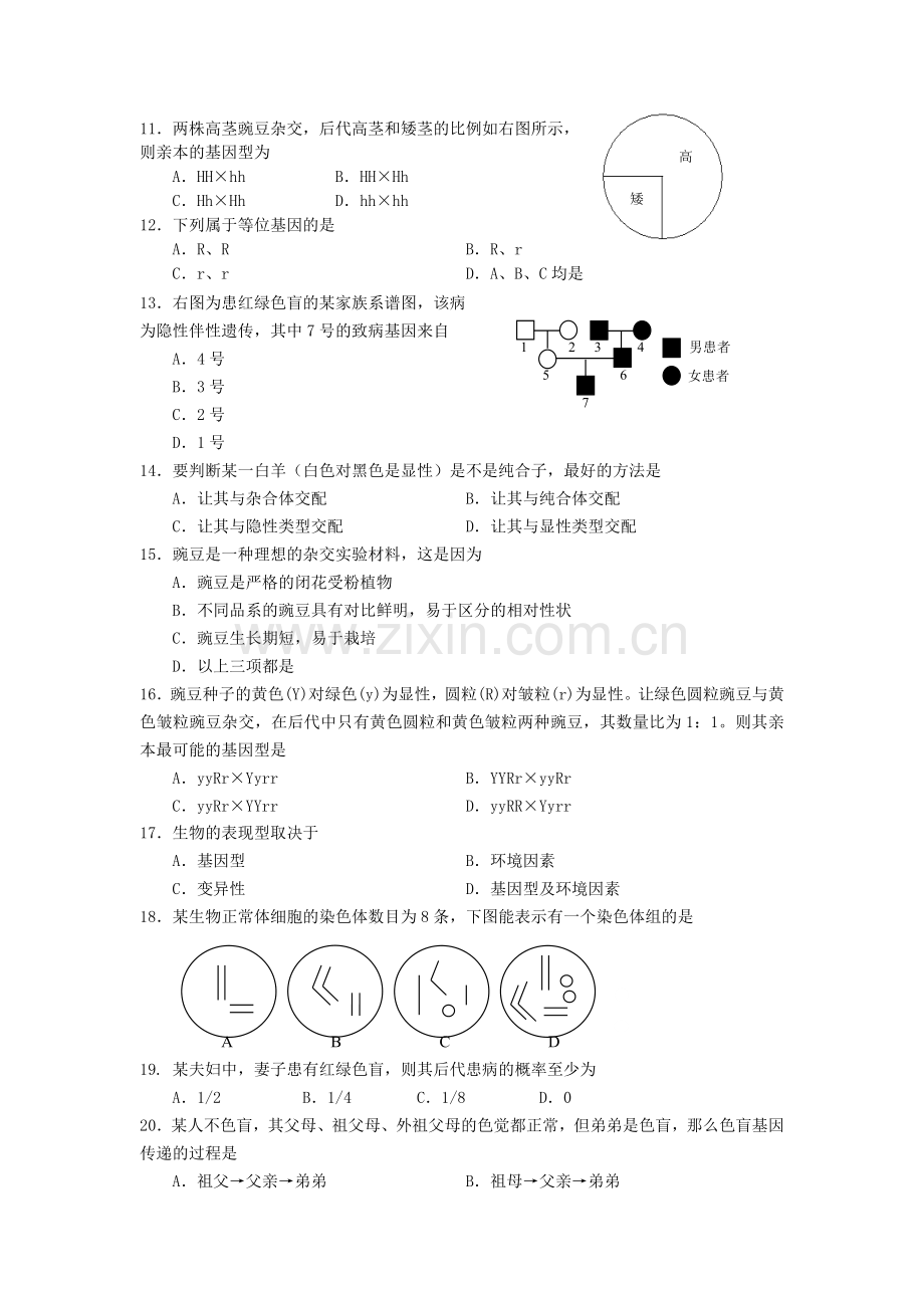 必修二遗传与变异模块检测试题.doc_第2页