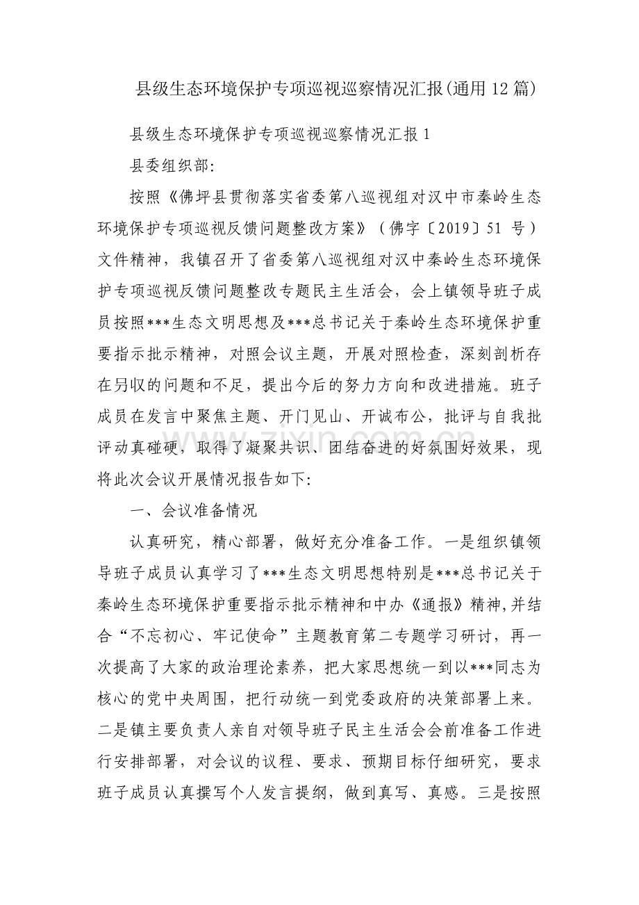 县级生态环境保护专项巡视巡察情况汇报(通用12篇).pdf_第1页