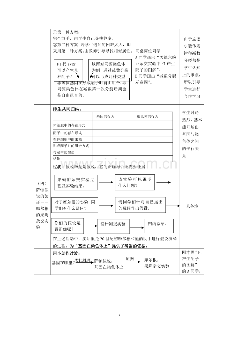 基因在染色体上.doc_第3页