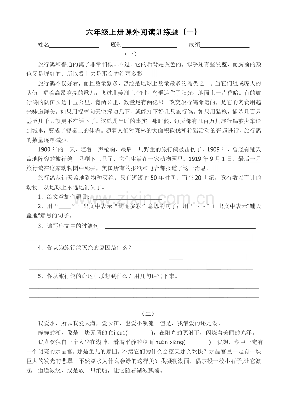 六年级上册课外课外阅读训练题.doc_第1页