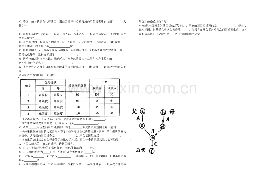 生物的遗传和变异单元检测.doc_第3页