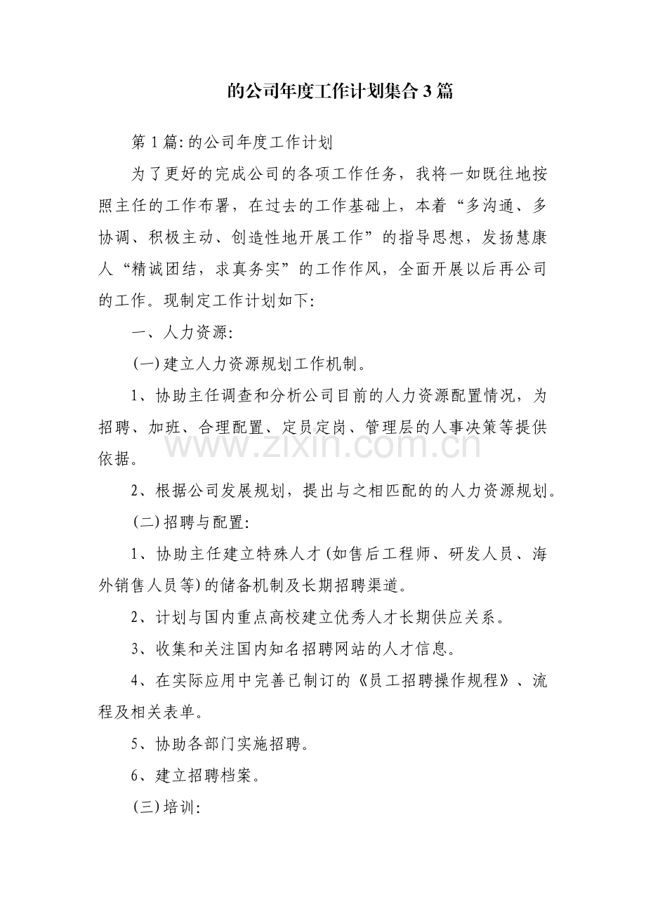 的公司年度工作计划集合3篇.pdf_第1页