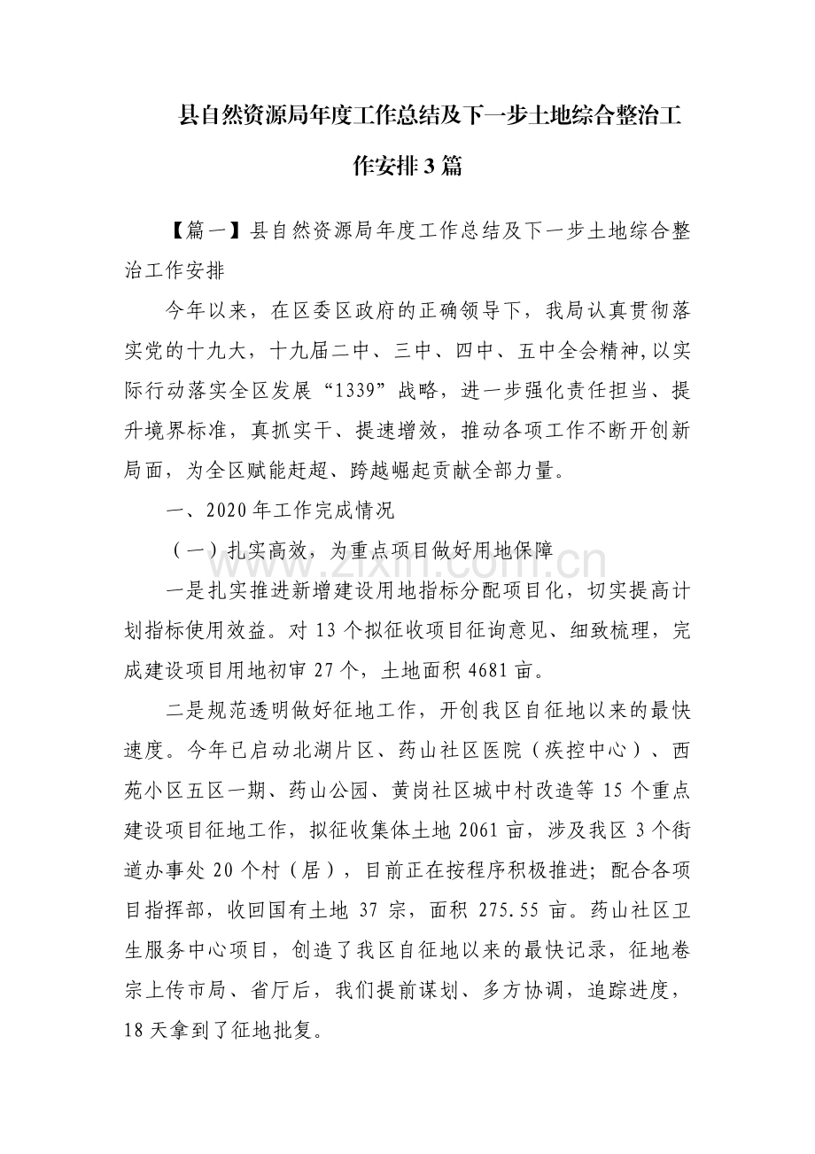 县自然资源局年度工作总结及下一步土地综合整治工作安排3篇.pdf_第1页