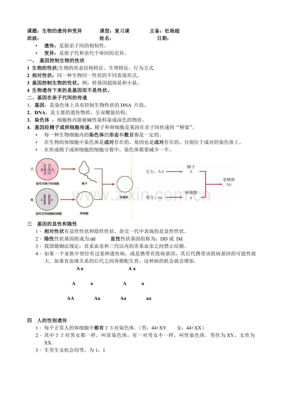 生物总复习六.doc_第1页