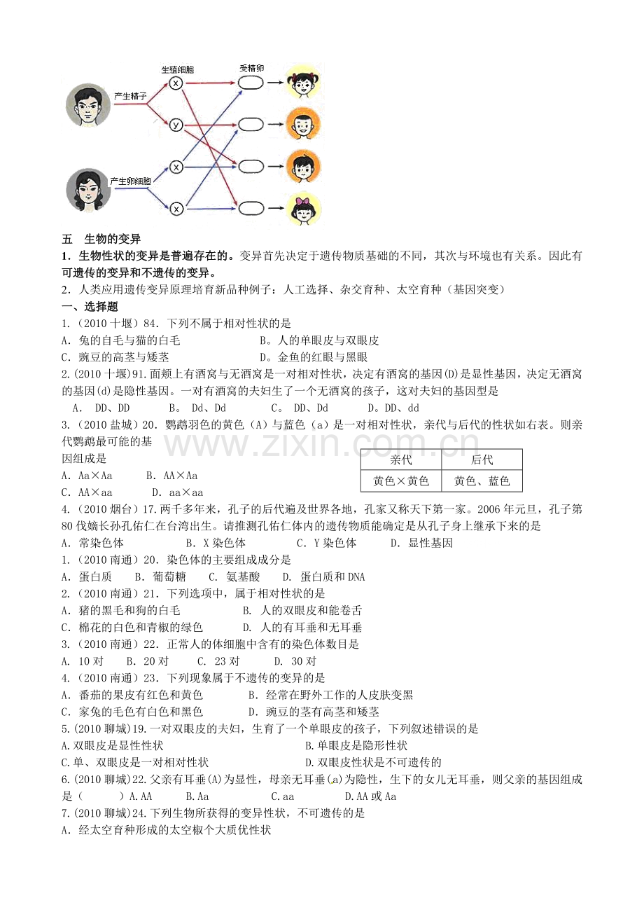 生物总复习六.doc_第2页