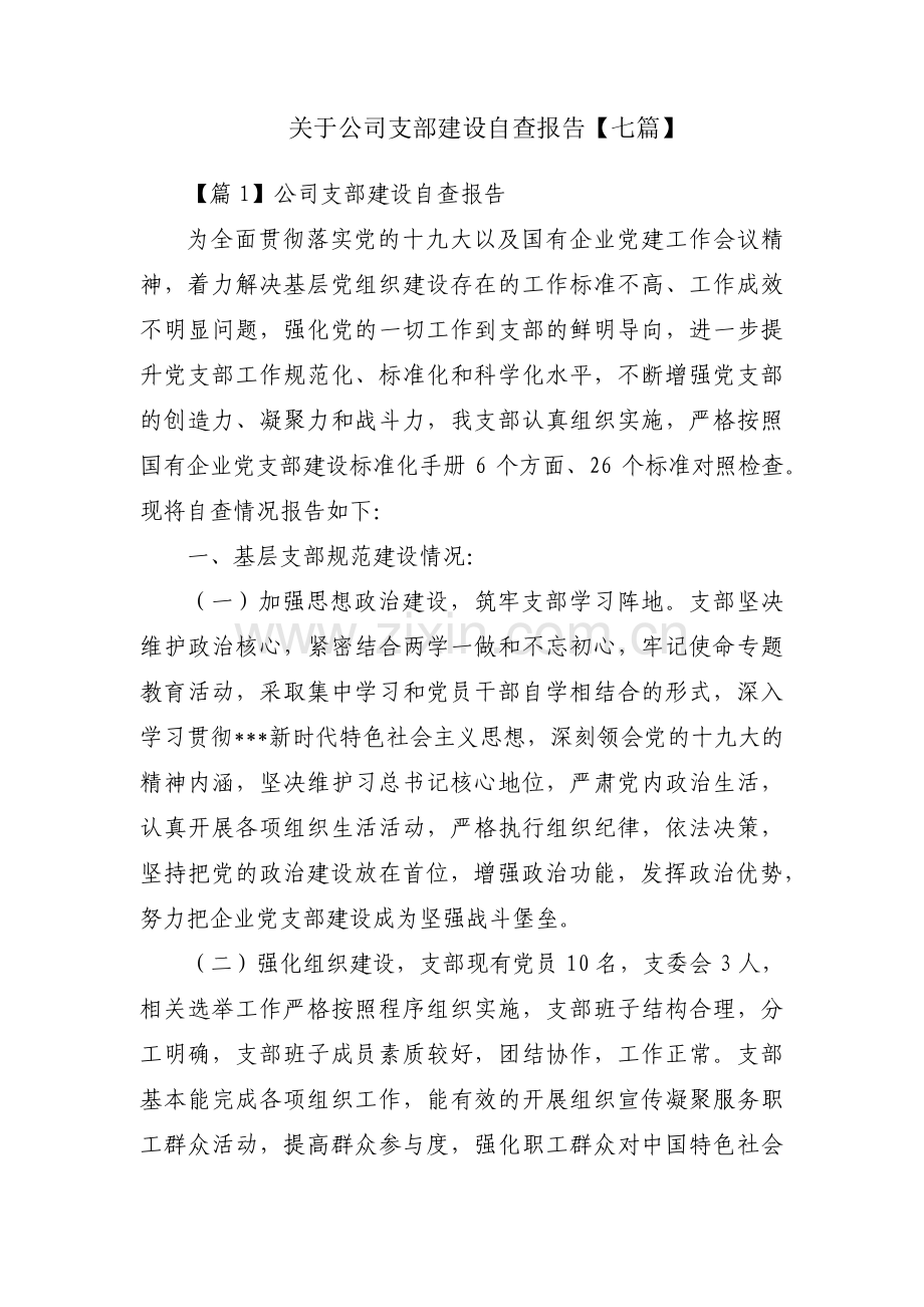 关于公司支部建设自查报告【七篇】.pdf_第1页