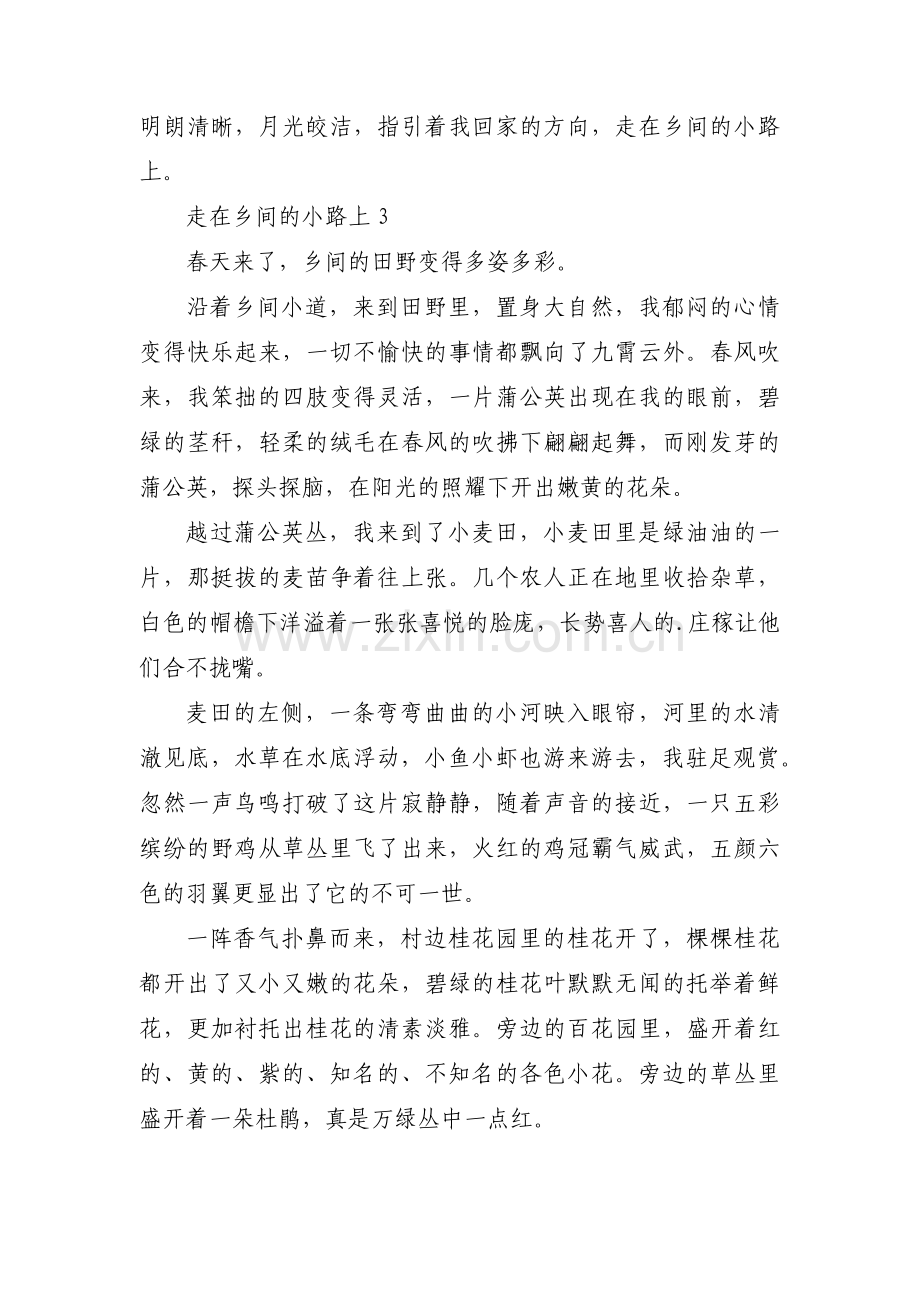 走在乡间的小路上集合3篇.pdf_第3页