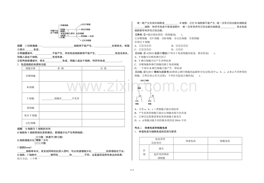 免疫调节教学案.doc_第3页