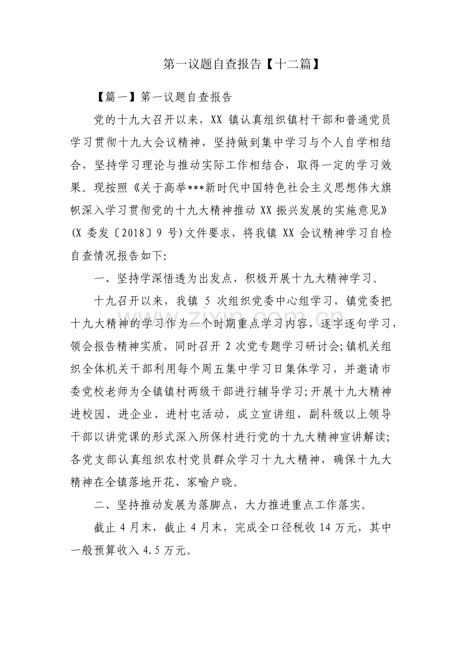 第一议题自查报告【十二篇】.pdf_第1页