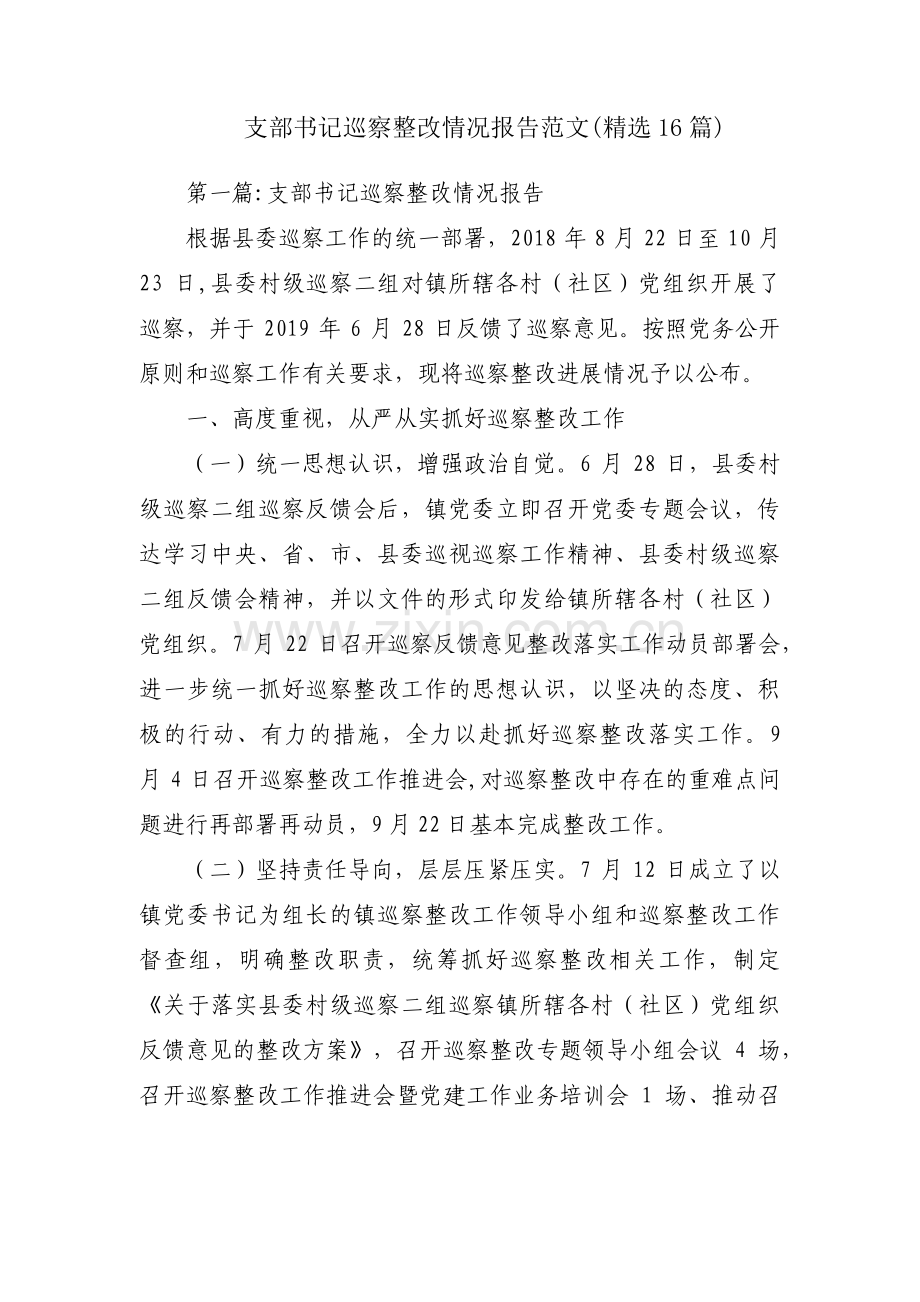 支部书记巡察整改情况报告范文(16篇).pdf_第1页