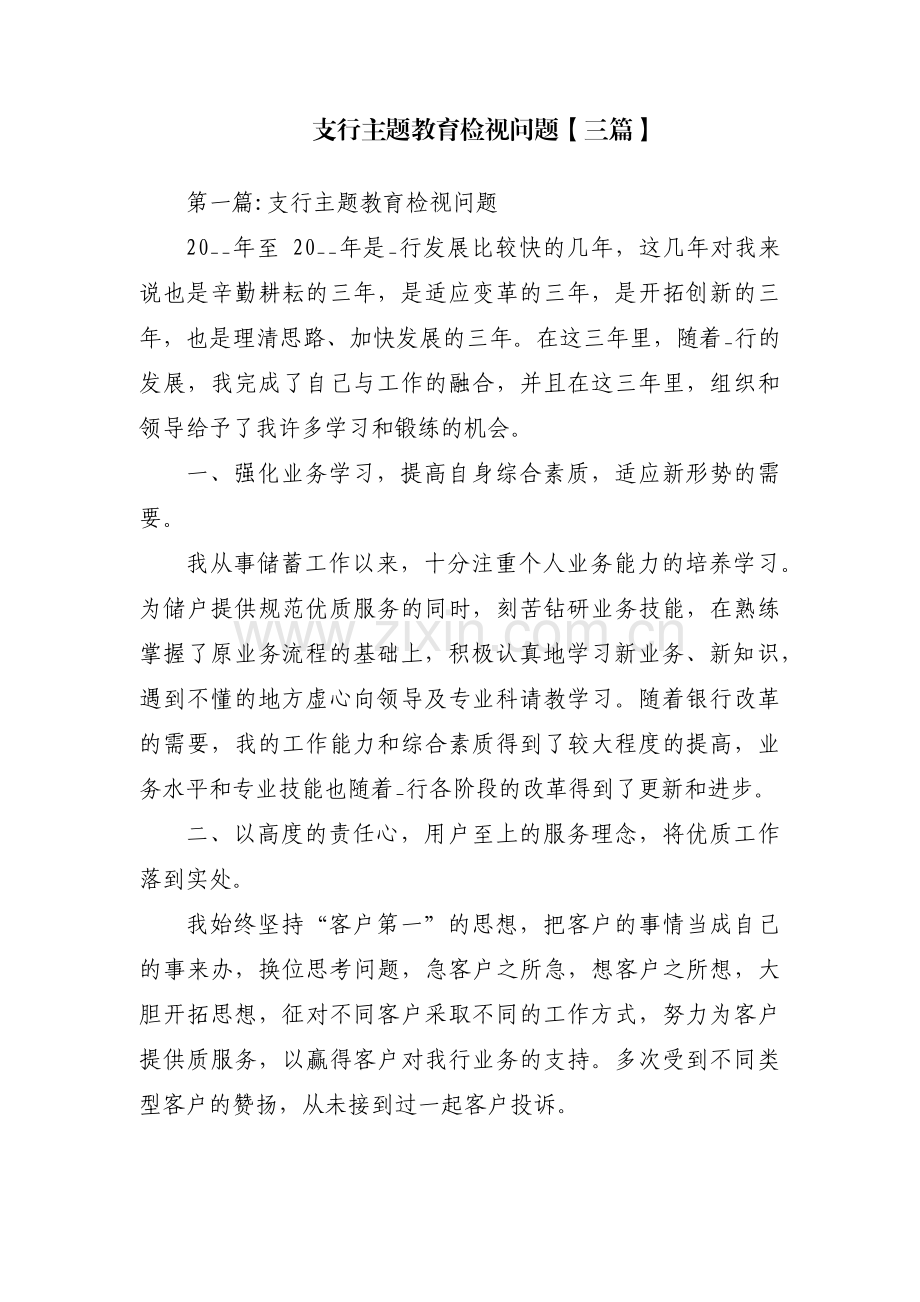 支行主题教育检视问题【三篇】.pdf_第1页