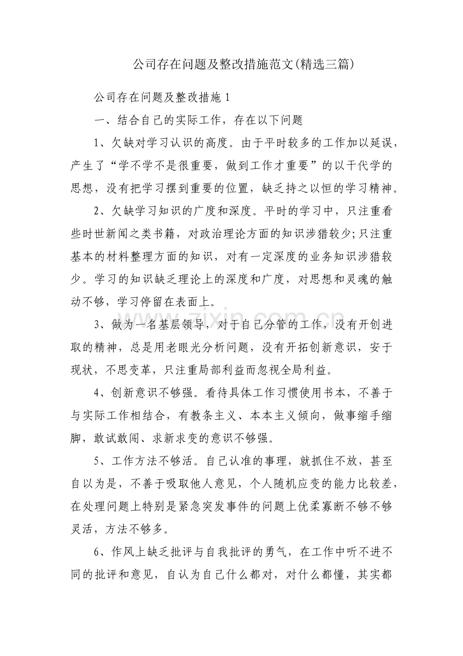 公司存在问题及整改措施范文(三篇).pdf_第1页