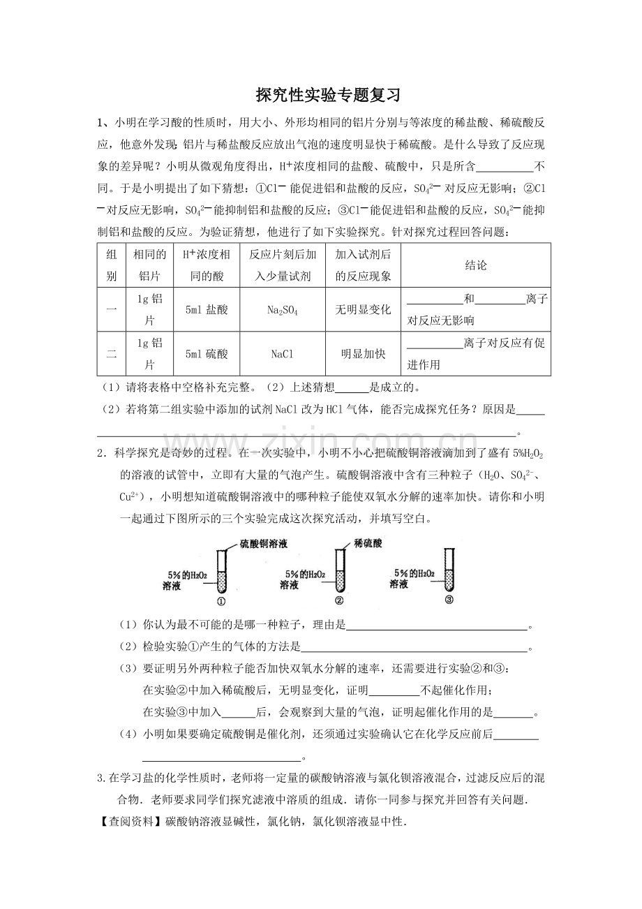 专题复习探究性实验.doc_第1页