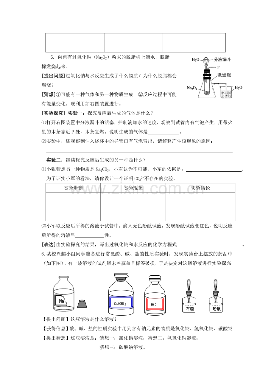 专题复习探究性实验.doc_第3页