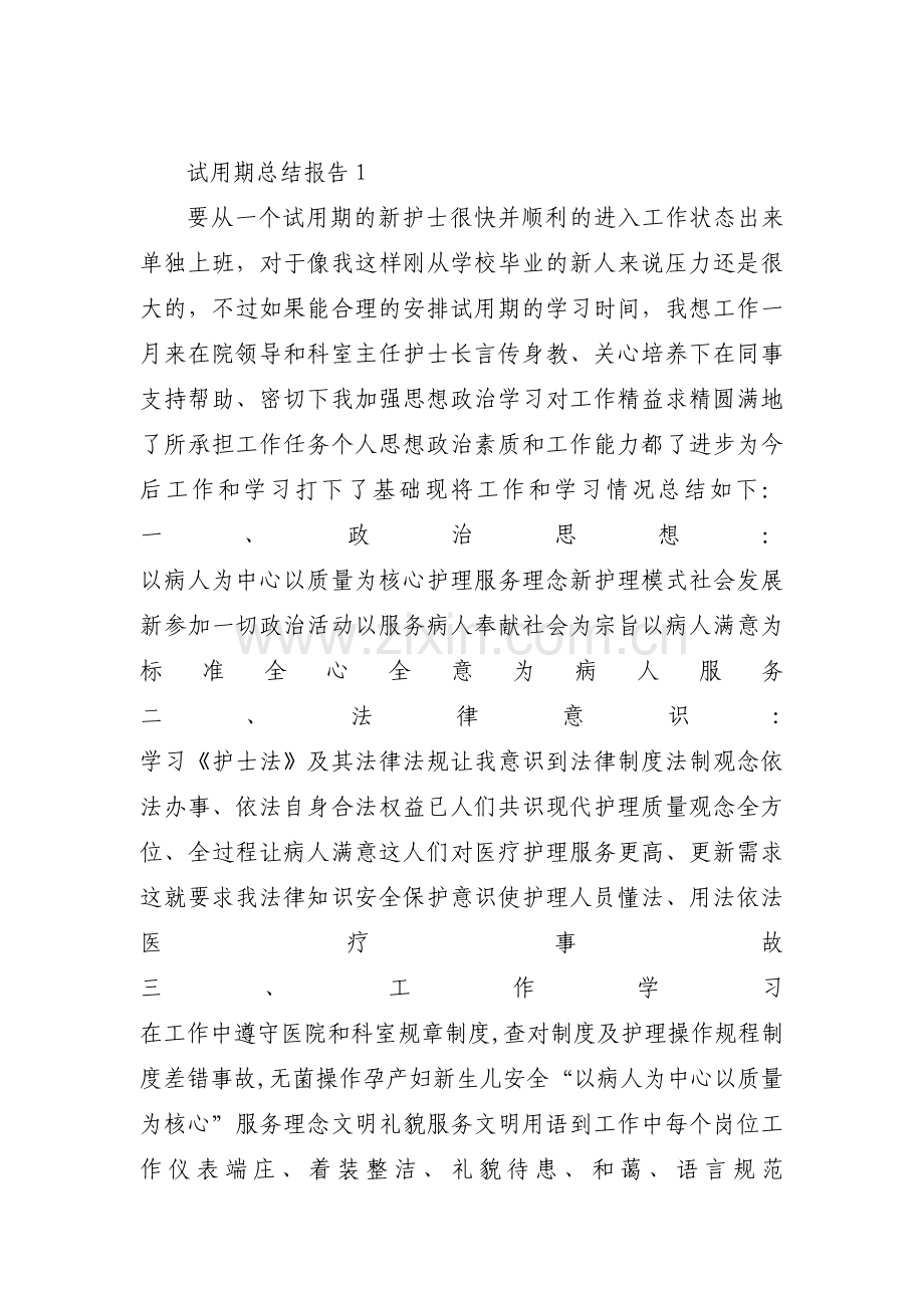 试用期总结报告3篇.pdf_第1页