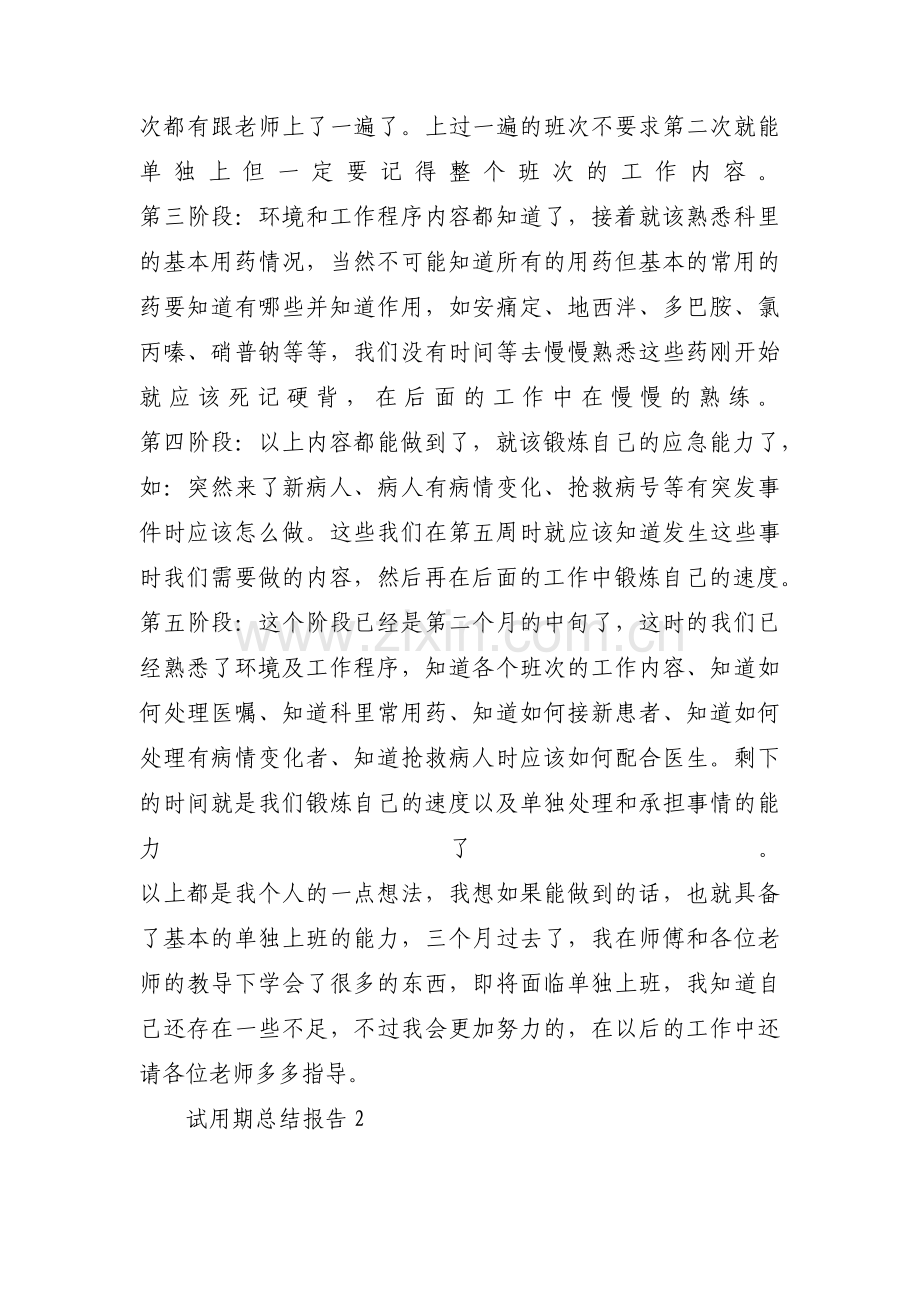 试用期总结报告3篇.pdf_第3页