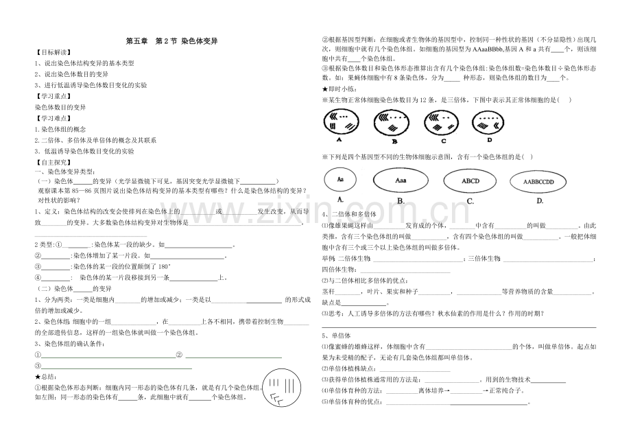 染色体变异学案.doc_第1页