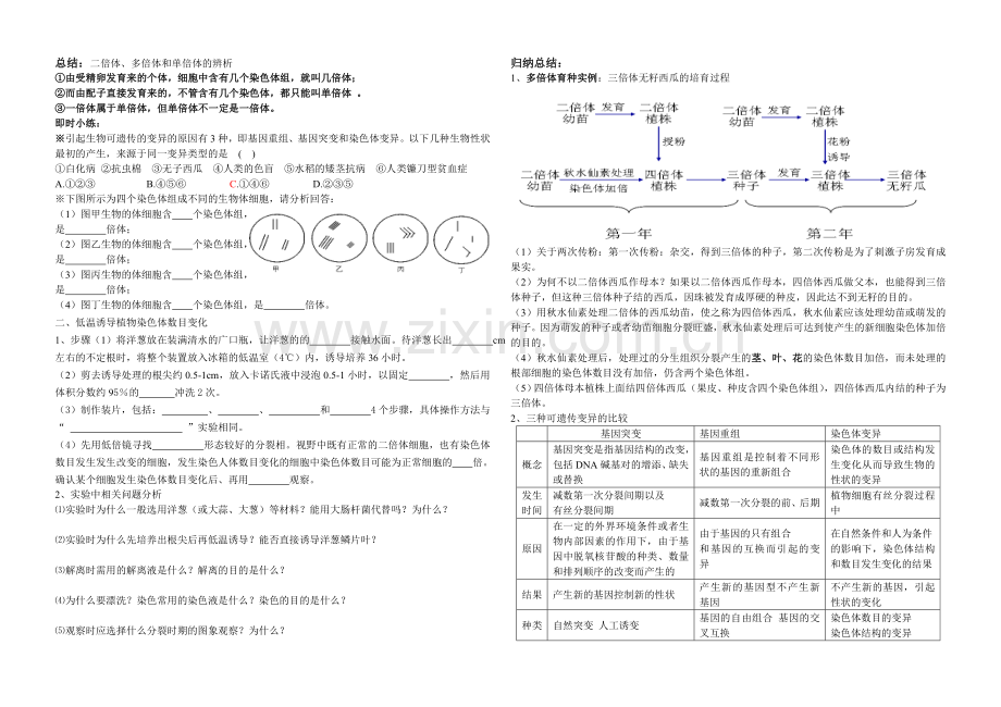 染色体变异学案.doc_第2页