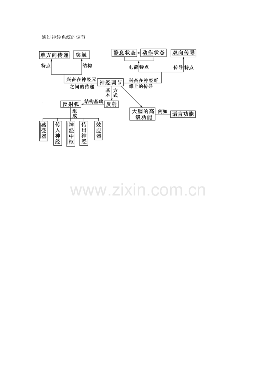 通过神经系统的调节.doc_第1页