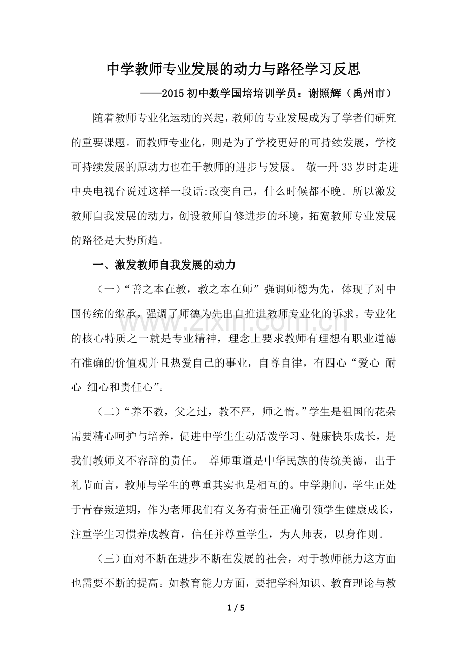 学习反思（中学教师专业发展的动力与路径）.doc_第1页