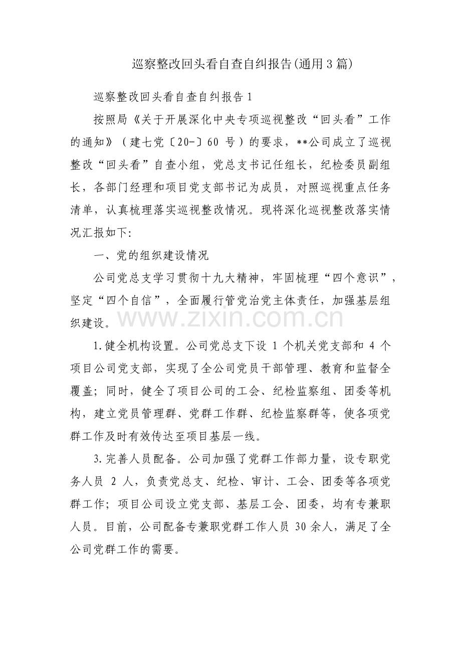 巡察整改回头看自查自纠报告(通用3篇).pdf_第1页