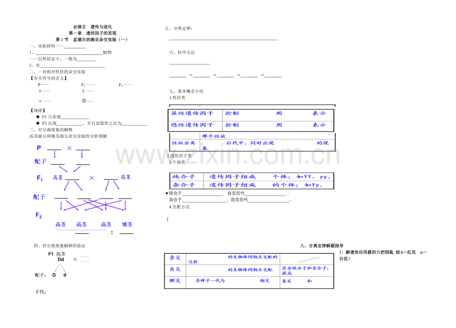 孟德尔的豌豆杂交学案.docx_第1页