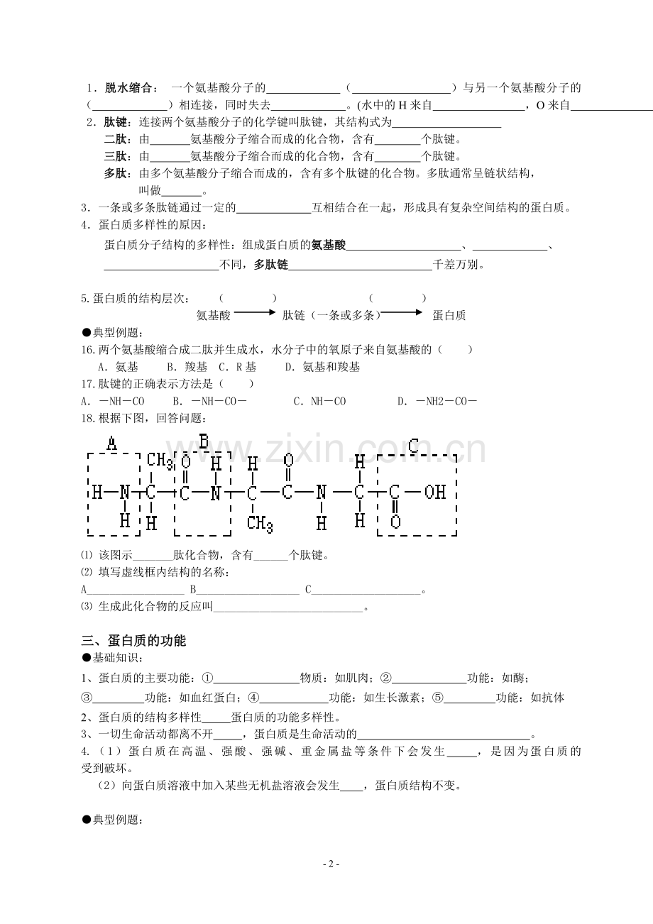 生命活动的主要承担者蛋白质导学案.doc_第2页