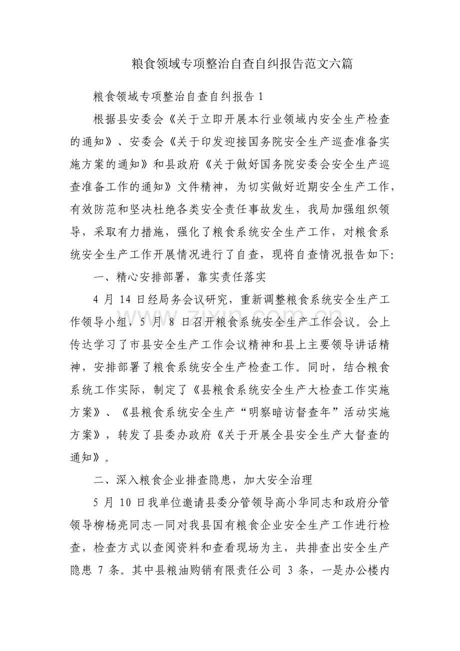 粮食领域专项整治自查自纠报告范文六篇.pdf_第1页