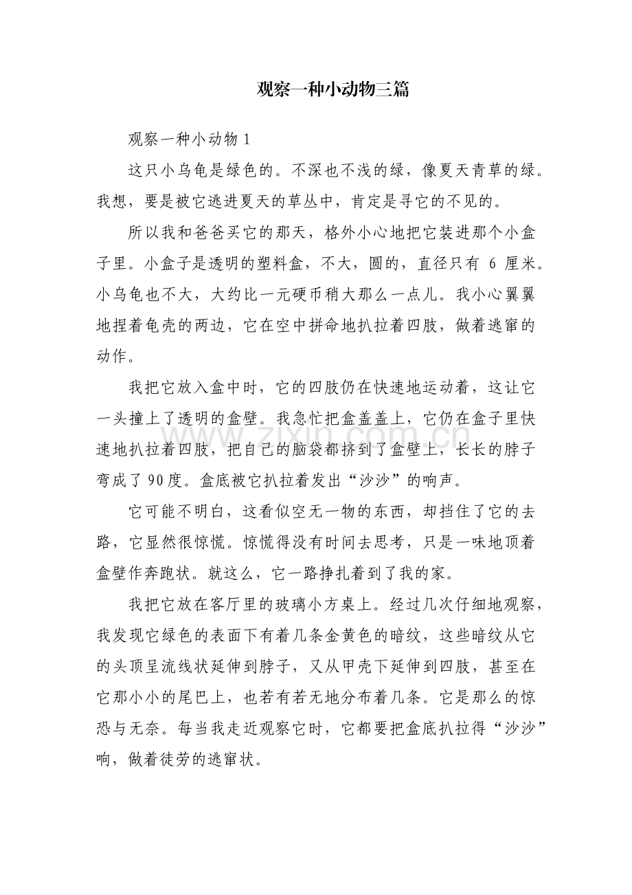 观察一种小动物三篇.pdf_第1页