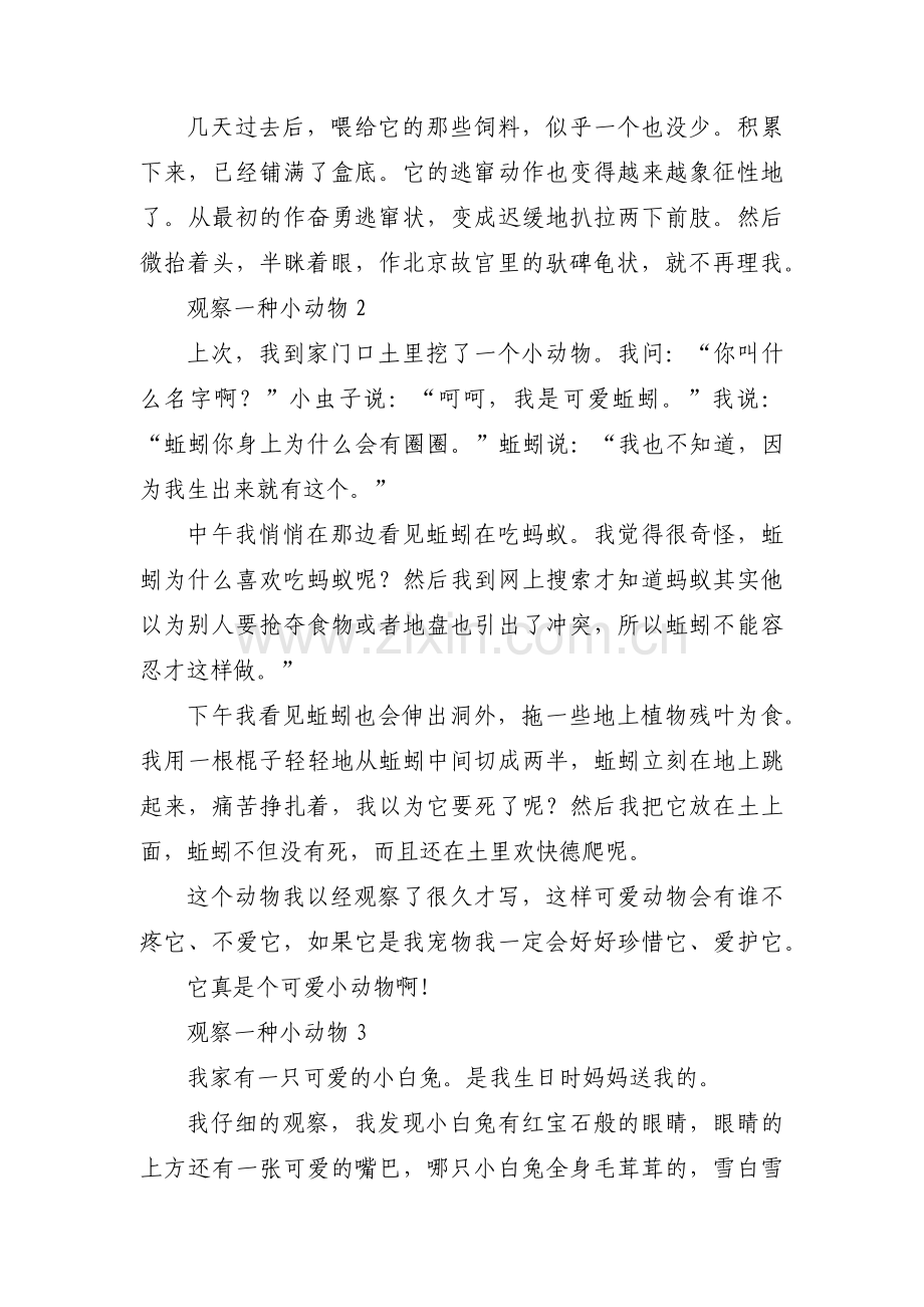 观察一种小动物三篇.pdf_第2页