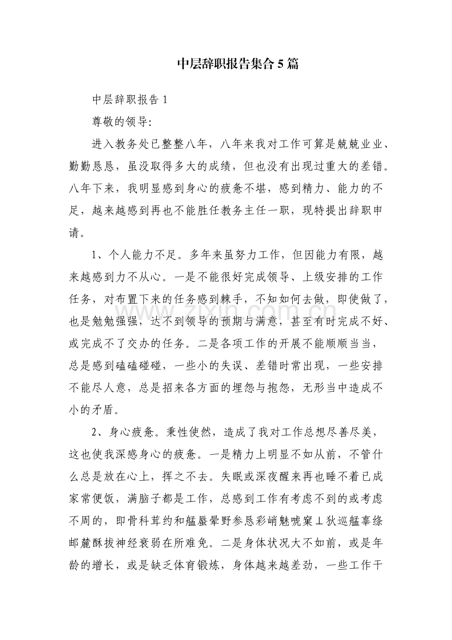 中层辞职报告集合5篇.pdf_第1页