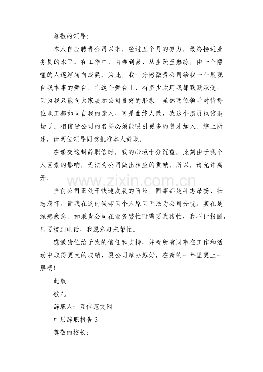 中层辞职报告集合5篇.pdf_第3页