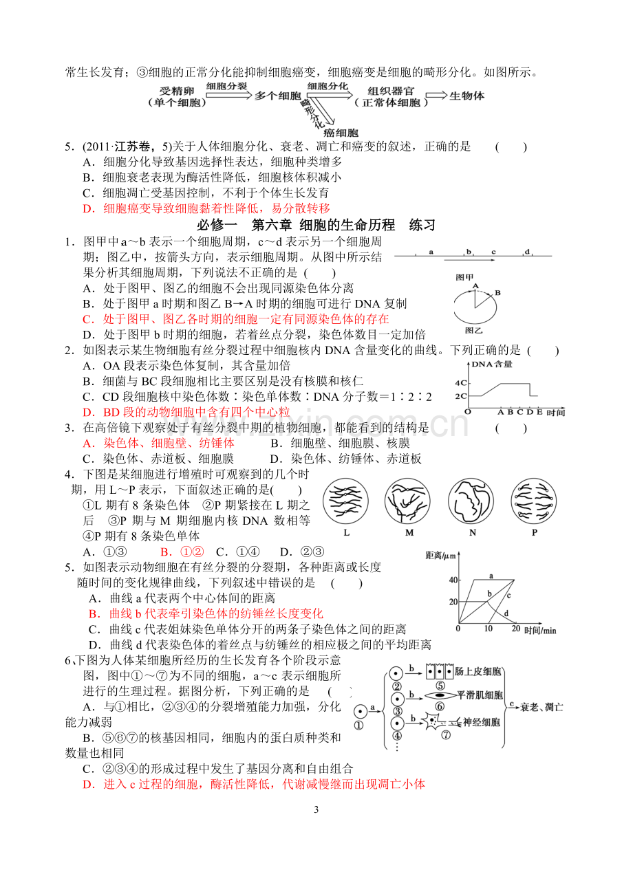 新人教版高中生物必修一教案与练习第六章细胞的生命历程.doc_第3页