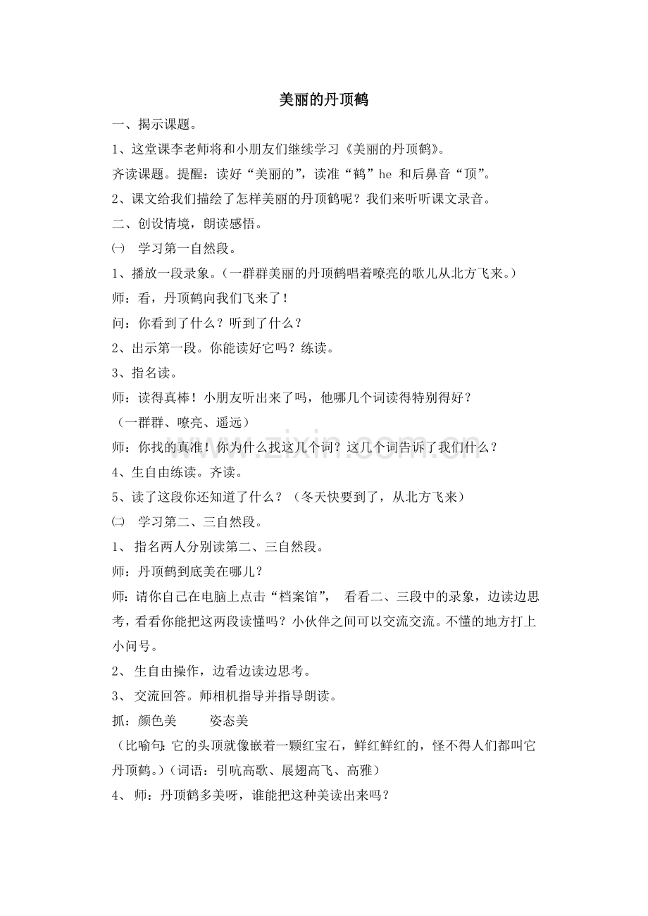 《美丽的丹顶鹤》教案.doc_第1页