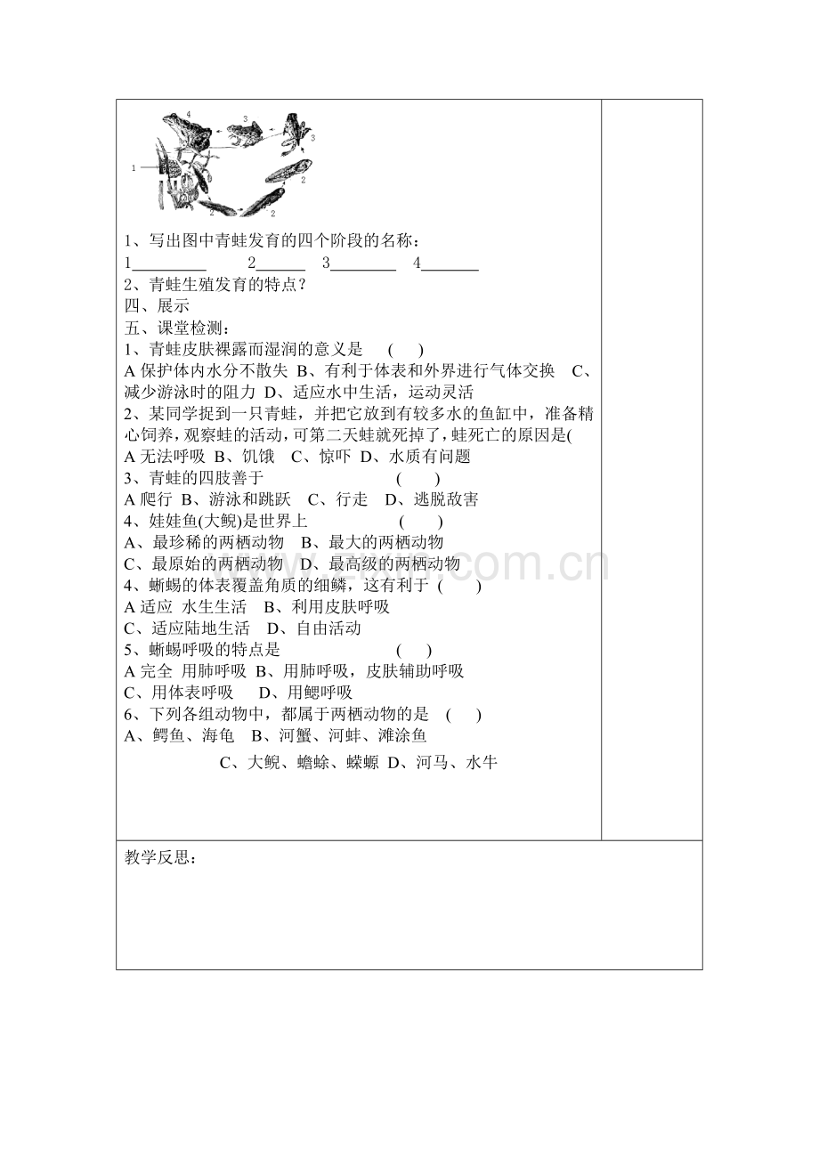 第一章动物的主要类群第五节两栖动物和爬行动物.doc_第2页