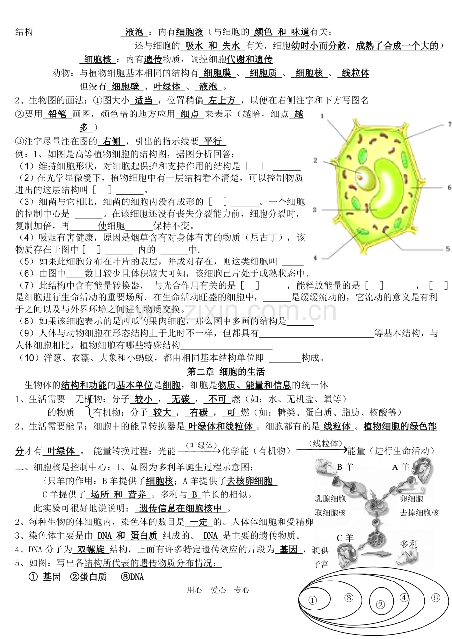 七上生物知识点文档.doc_第3页