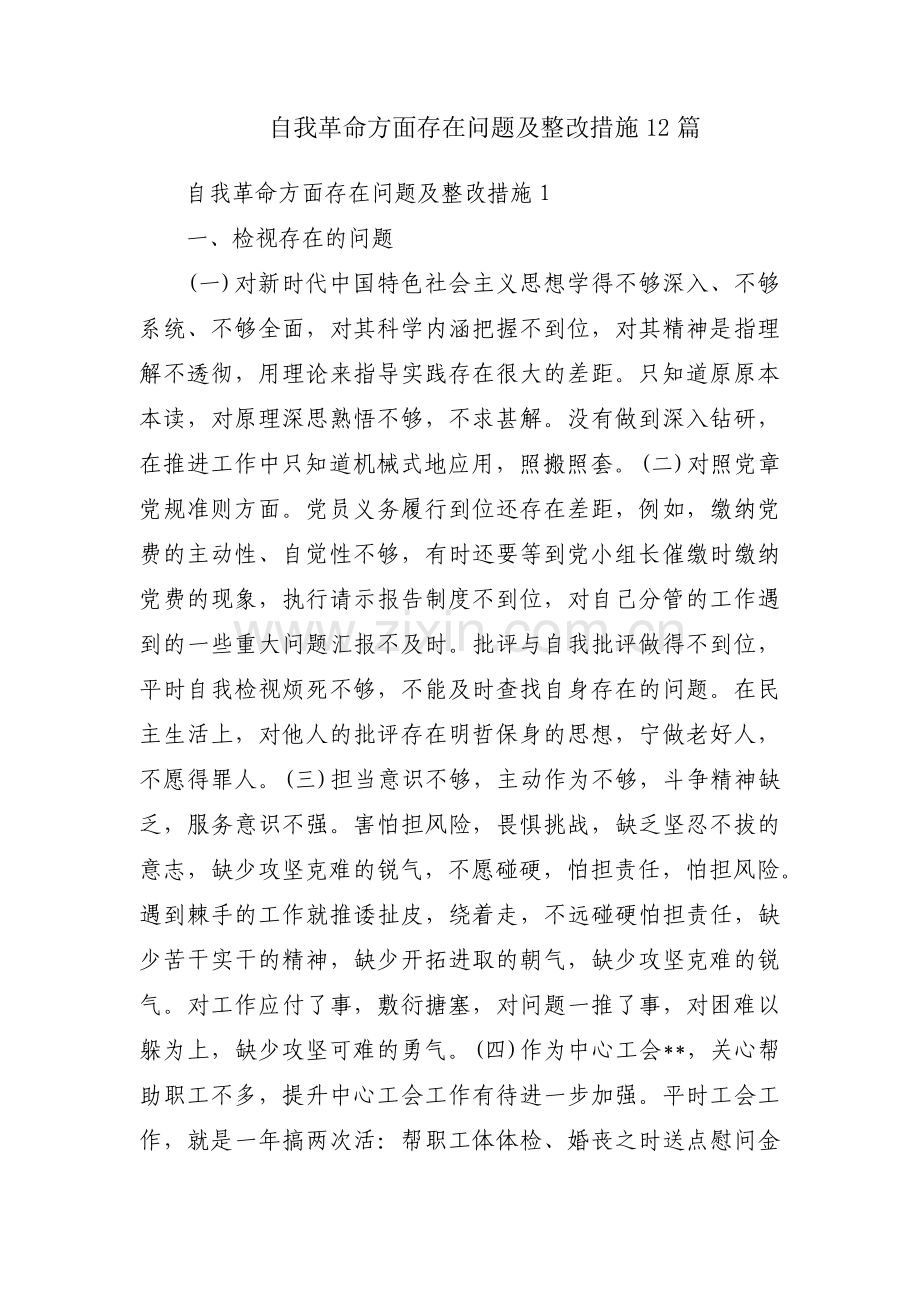 自我革命方面存在问题及整改措施12篇.pdf_第1页