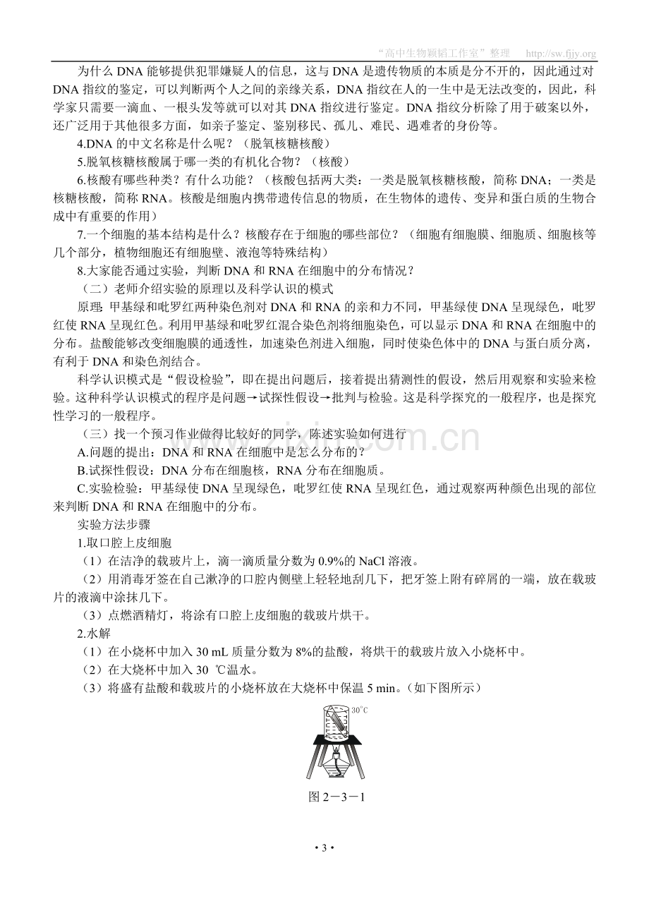 示范教案(遗传信息的携带者——核酸).doc_第3页