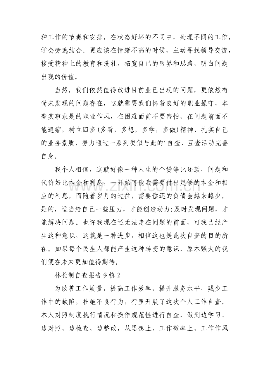 林长制自查报告乡镇范文(3篇).pdf_第3页