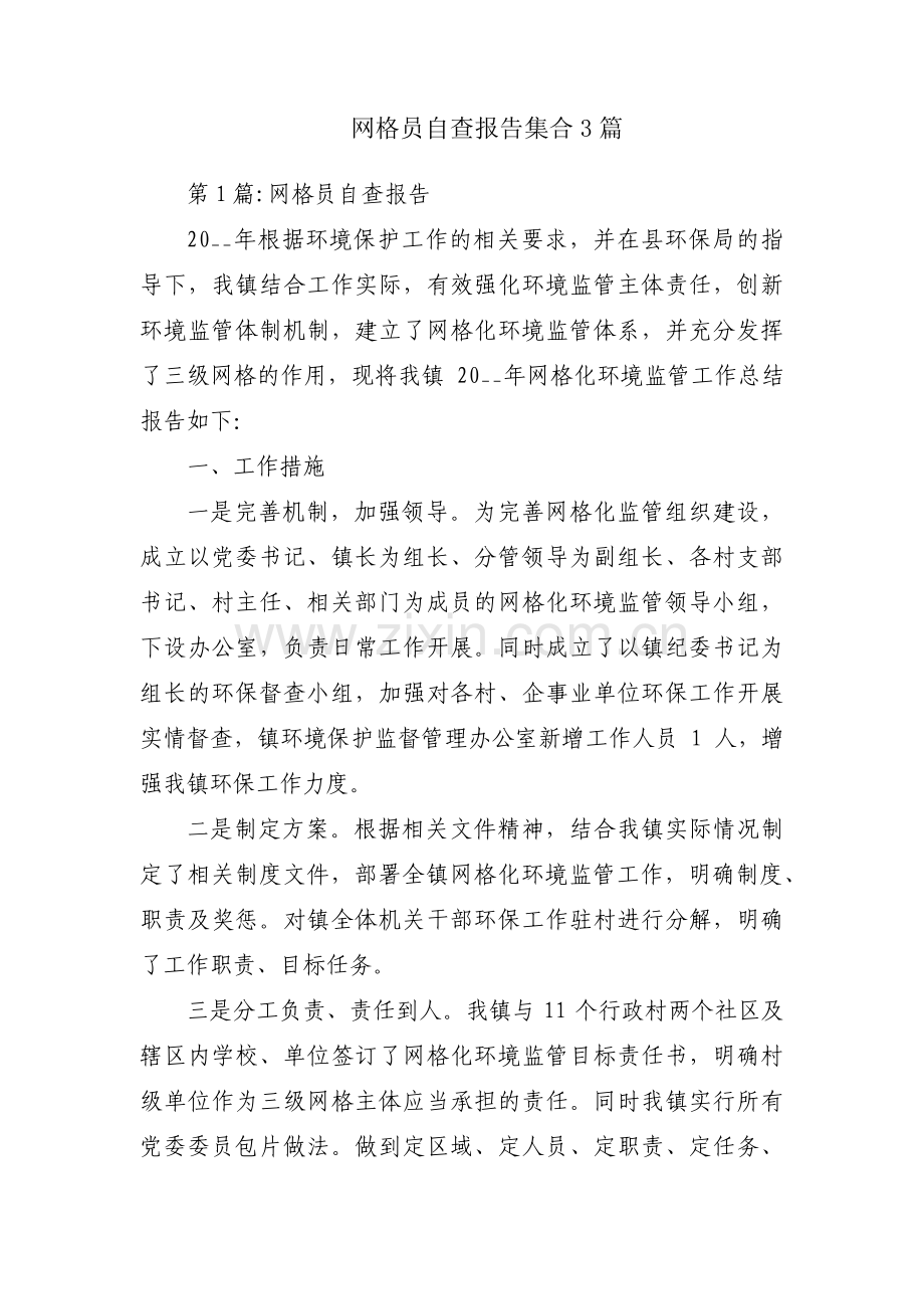 网格员自查报告集合3篇.pdf_第1页