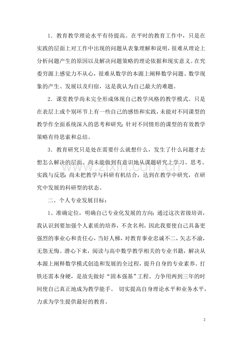 高中数学教师专业化发展规划.doc_第2页