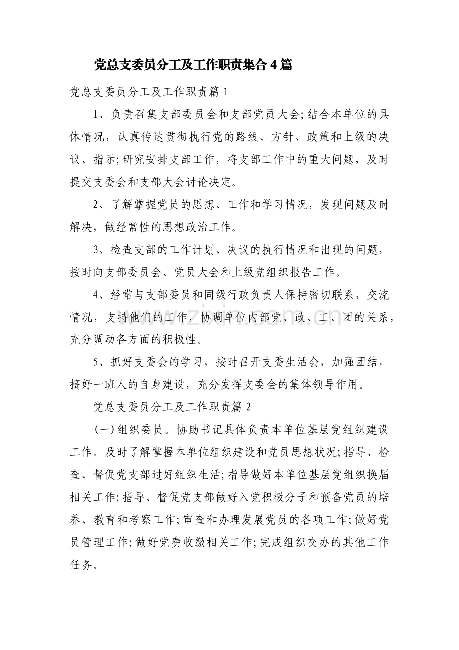 党总支委员分工及工作职责集合4篇.pdf_第1页