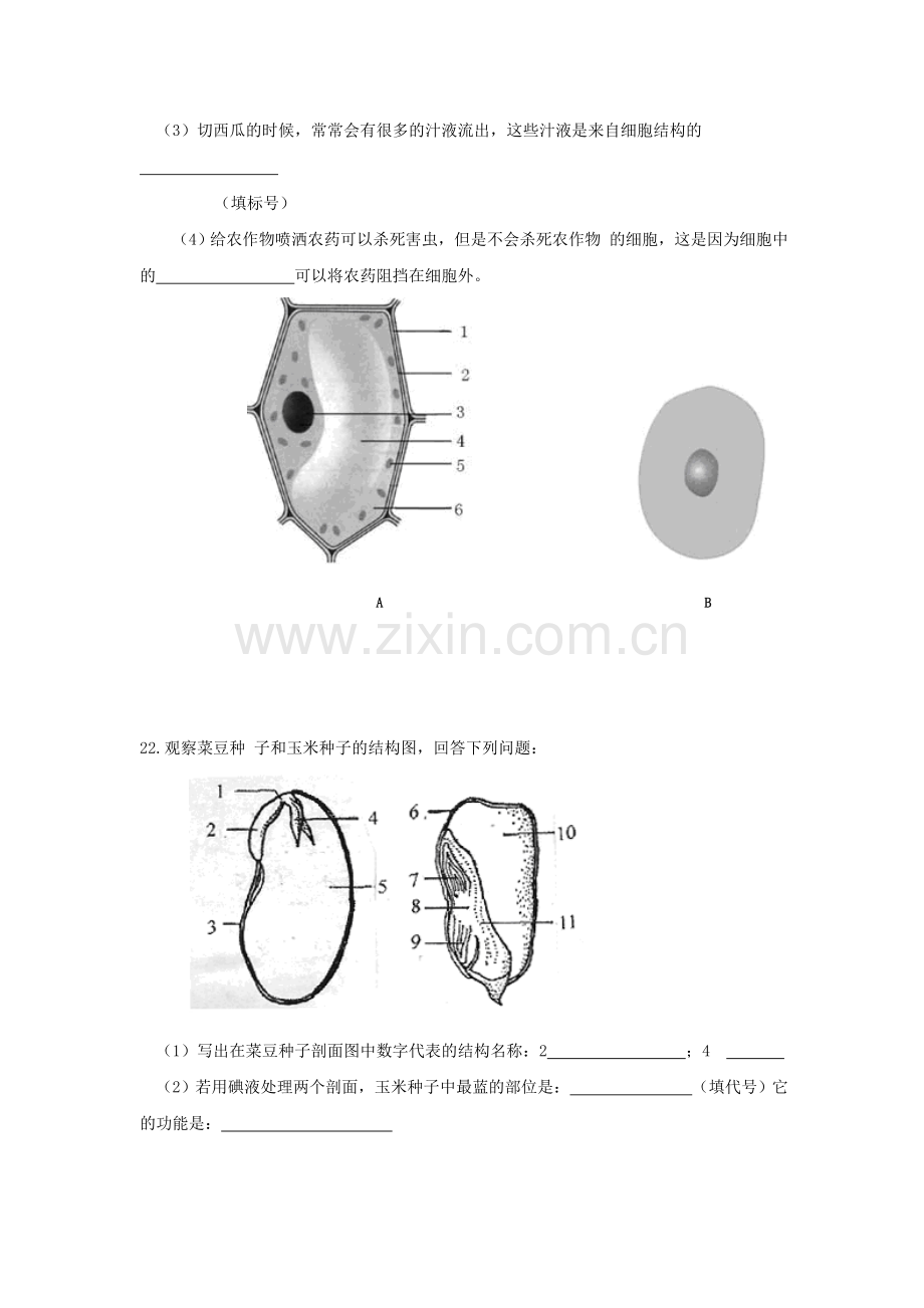 七年级生物单元试卷《双向细目表》.doc_第3页