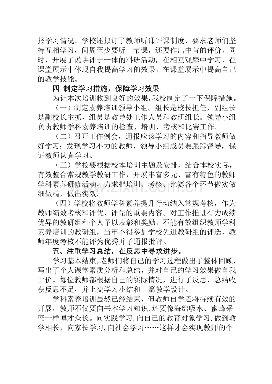 教师学科素养培训工作总结.doc_第2页