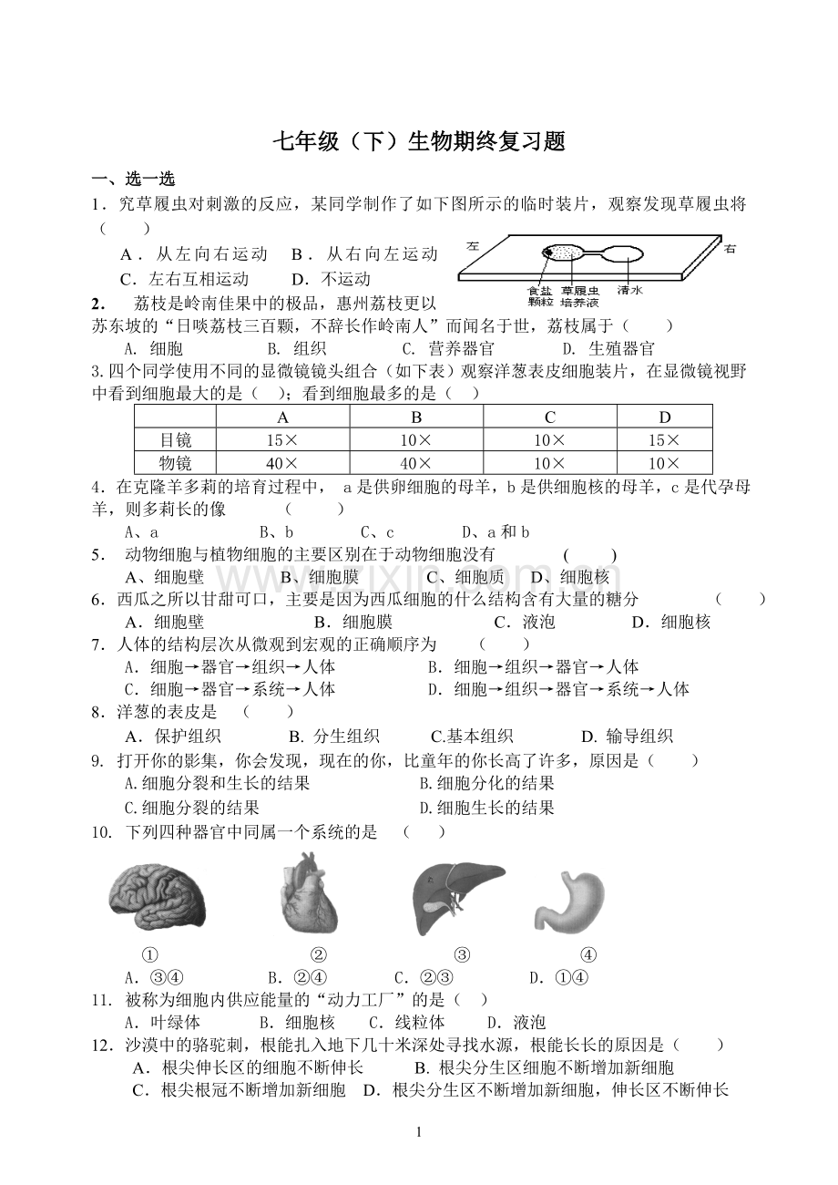 七年级（下）生物复习题.doc_第1页