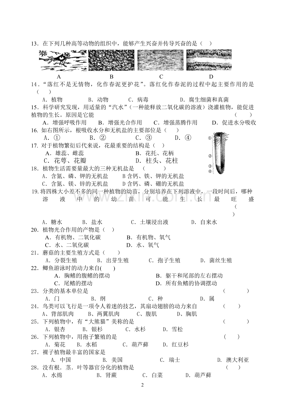 七年级（下）生物复习题.doc_第2页