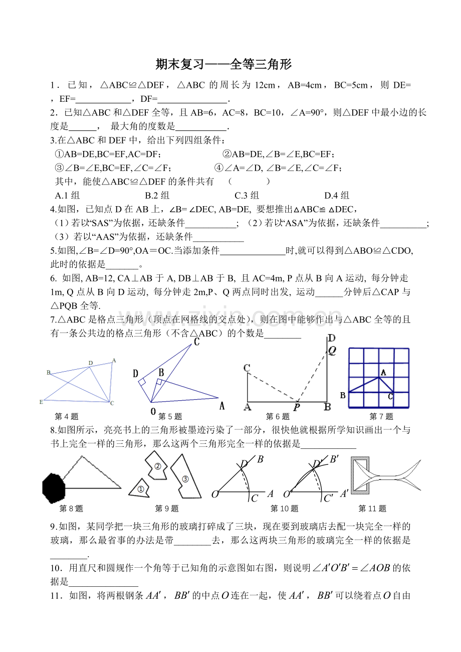 期末复习全等三角形.doc_第1页