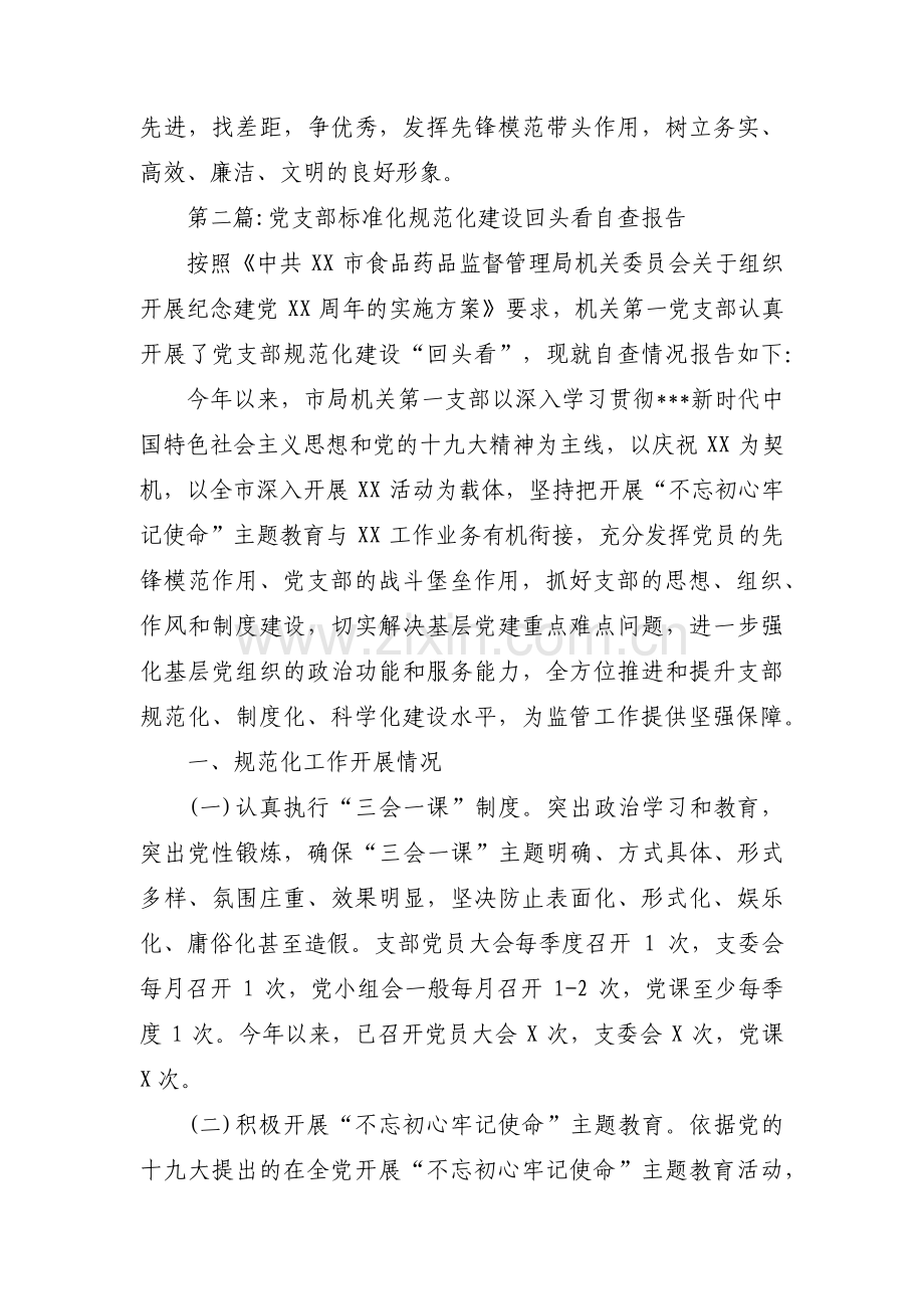 党支部标准化规范化建设回头看自查报告范文(通用4篇).pdf_第3页